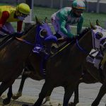 Horse Racing News: Early Picks for the 2020 Breeders' Cup