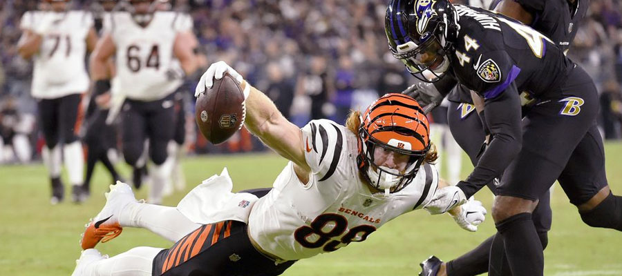 Cincinnati Bengals AFC North Odds: Bengals Odds To Win Division