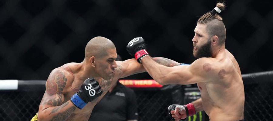 UFC 303 Rematch: Can Pereira KO Prochazka Again? Odds, Lines, & Prediction